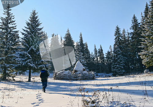 Image of Man hiking on the mountain in the morning