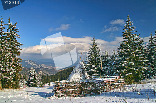 Image of Winter landscape in opening forest, hay stack in center