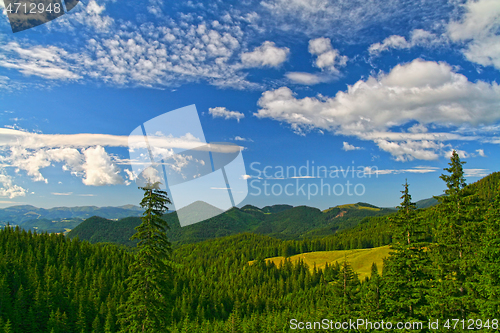 Image of Summer forest landscape against blue sky