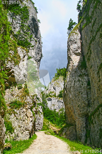 Image of Vertical wall in the Precipice of Zarnesti