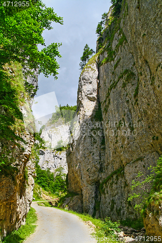 Image of Rock wall bordering the road