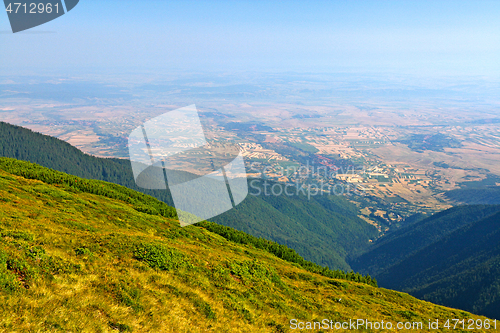 Image of Alpine meadow, green forest and agriculture fields in background