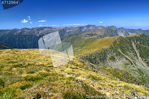 Image of Summer alpine scene in the mountains