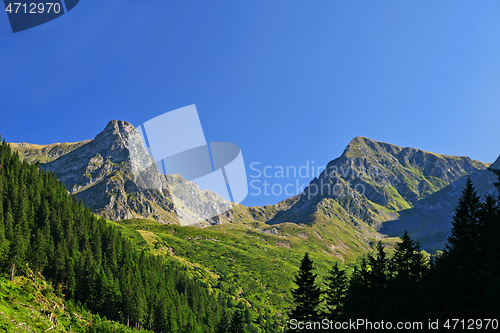 Image of Green meadow and rocky mountain