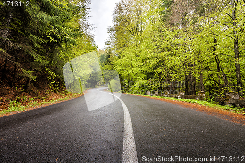 Image of Curved serpentine mountain forest road
