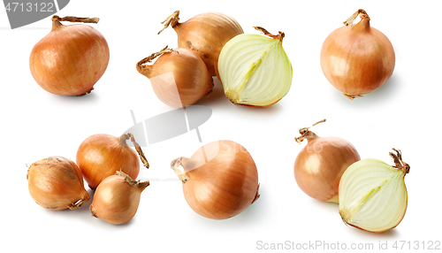 Image of fresh raw onions