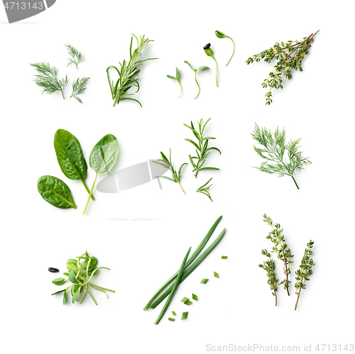 Image of fresh herb and spices