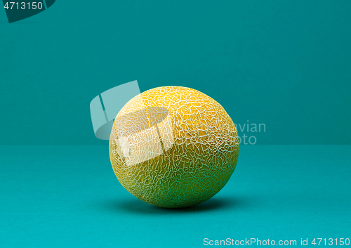 Image of fresh ripe melon