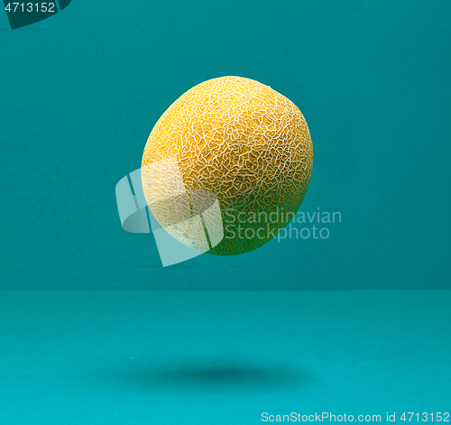 Image of fresh ripe melon