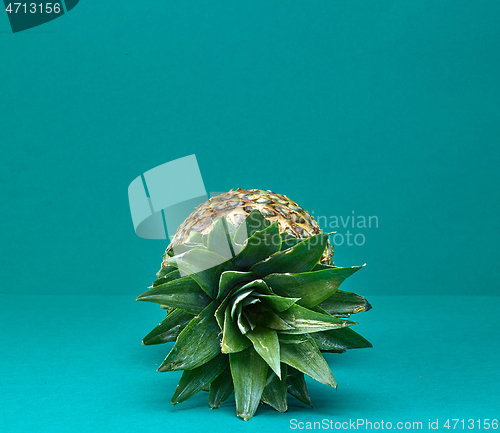 Image of fresh ripe pineapple leaves