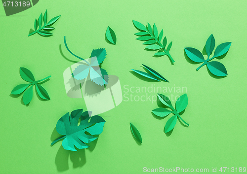 Image of green paper background