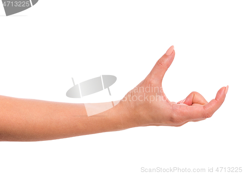 Image of Female hand on white