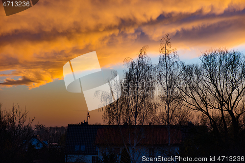 Image of Houses and trees at sunset