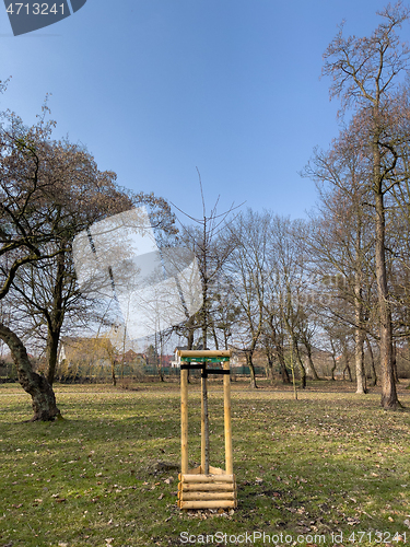 Image of Planting trees in park