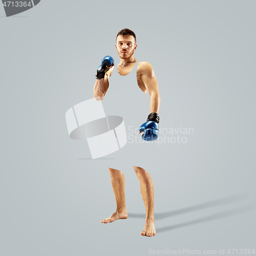 Image of Professional boxer boxing isolated on grey studio background