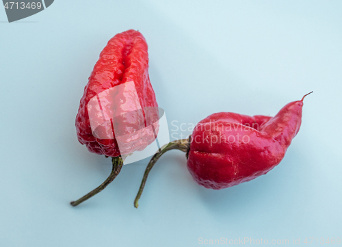 Image of hot red ghost peppers