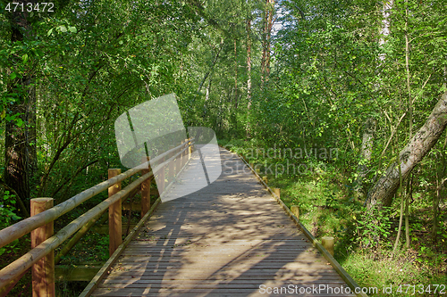 Image of wooden nature trail 