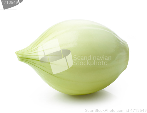 Image of fresh raw peeled onion