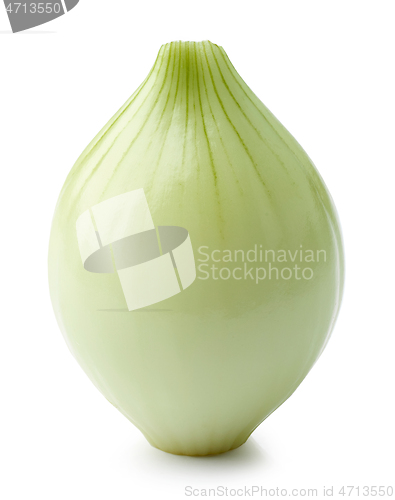 Image of fresh raw peeled onion