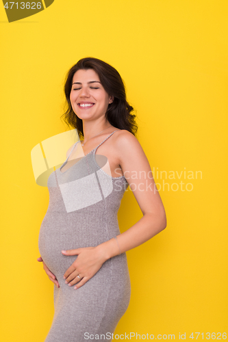 Image of Portrait of pregnant woman over yellow background