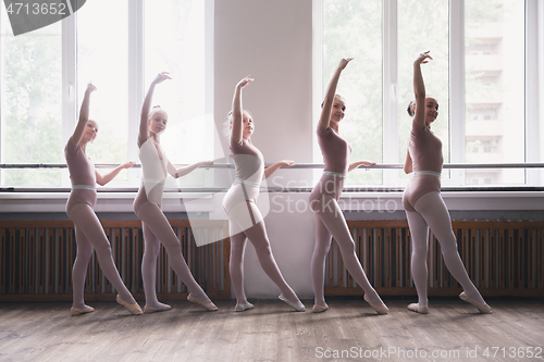 Image of Young graceful female ballet dancers dancing at training studio