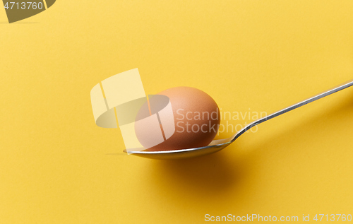 Image of single chicken egg in a spoon