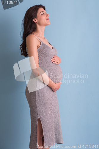 Image of Portrait of pregnant woman over blue background