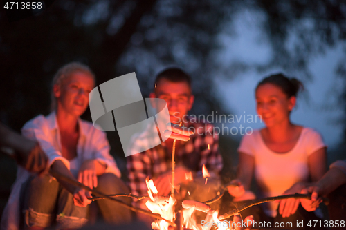 Image of young friends relaxing around campfire