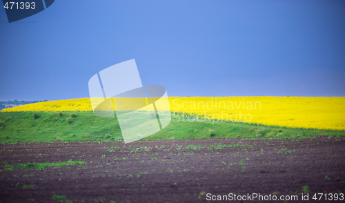 Image of abstract landscape