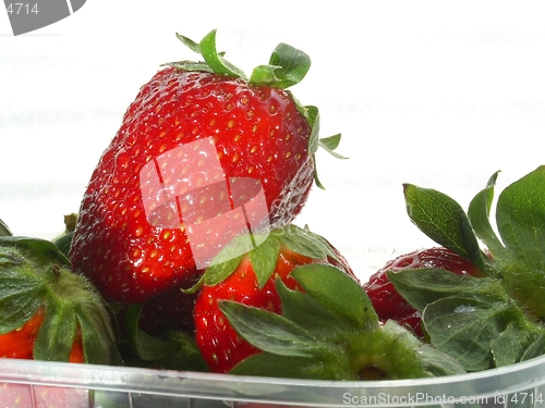 Image of strawberry