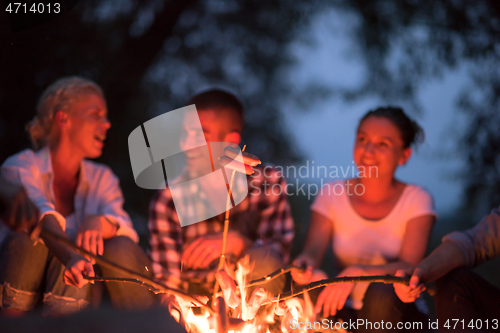 Image of young friends relaxing around campfire