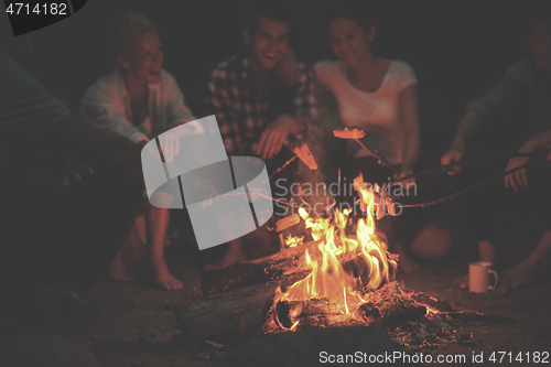 Image of young friends relaxing around campfire