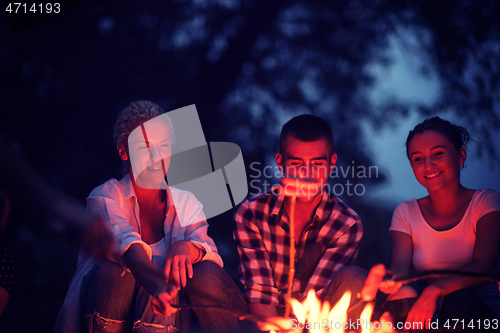 Image of young friends relaxing around campfire