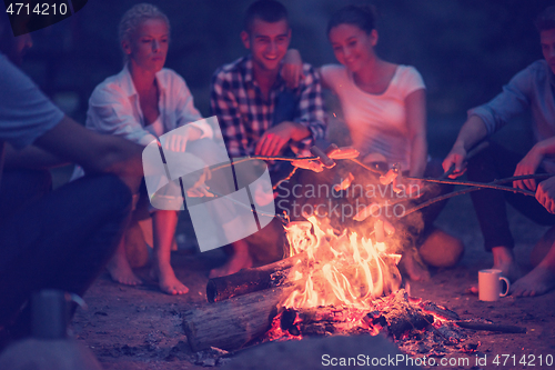 Image of young friends relaxing around campfire