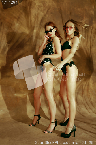 Image of Beautiful girls isolated on braun studio background