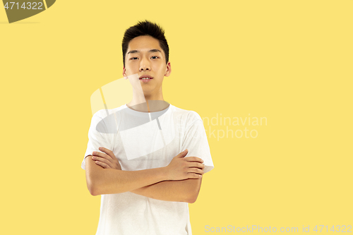 Image of Korean young man\'s half-length portrait on yellow background