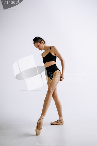 Image of Young female ballet dancer against white studio background