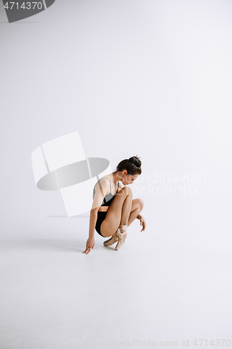 Image of Young female ballet dancer against white studio background