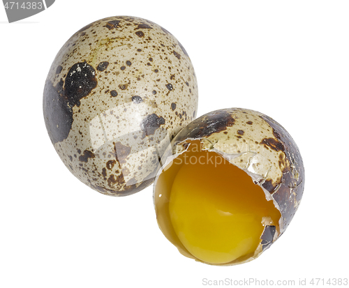 Image of two quail eggs