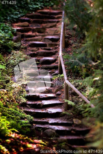 Image of Old Wet Stone Steps