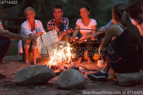 Image of young friends relaxing around campfire