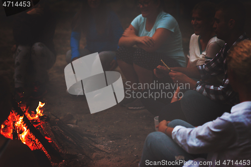 Image of young friends relaxing around campfire