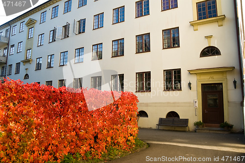 Image of Red wall in the backyard