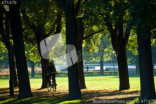 Image of Bicycle ride in the park