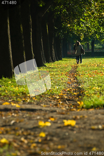 Image of Walking the path