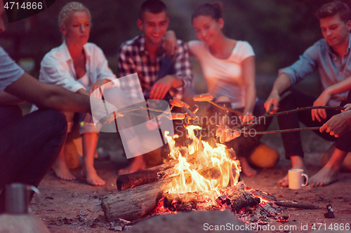 Image of young friends relaxing around campfire