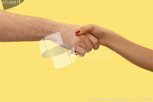 Image of Closeup shot of human holding hands isolated on yellow studio background.