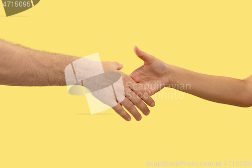 Image of Closeup shot of human holding hands isolated on yellow studio background.