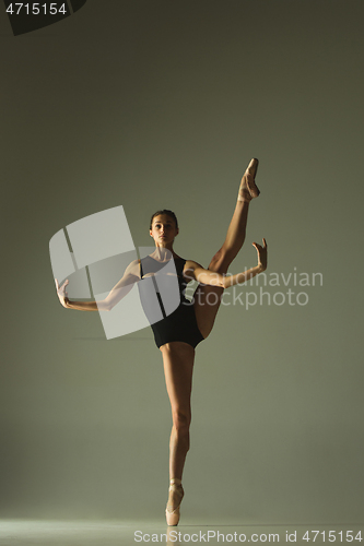 Image of Young graceful female ballet dancer dancing in mixed light