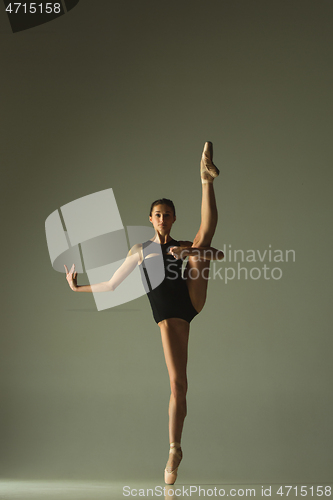 Image of Young graceful female ballet dancer dancing in mixed light
